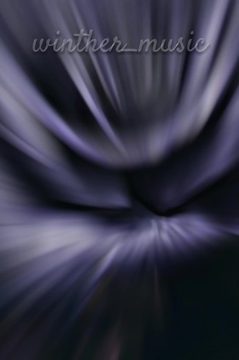 Contestación de Flor Morada 🪻✨