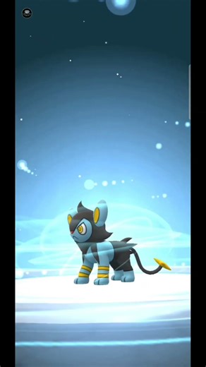 POKEMON GO: HUNDO SHINX TO HUNDO LUXRAY