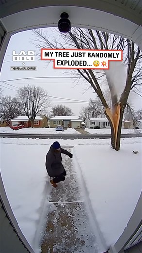 It was so cold, our tree exploded 💥😳 | LADbible