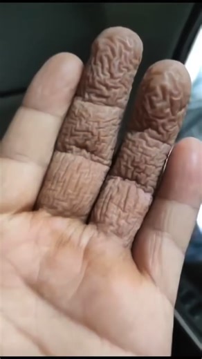 Eric murray on Instagram: "I'm absolutely befuddled #respectfullyofcourse #sensational"