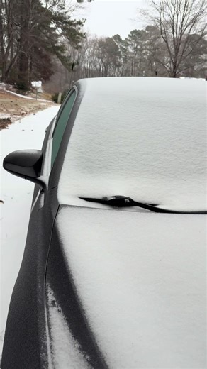 9 AM report on 1/25/2026. Sounds like sleet but feels like rain. North Raleigh. #raleighicestorm #martinbrossman