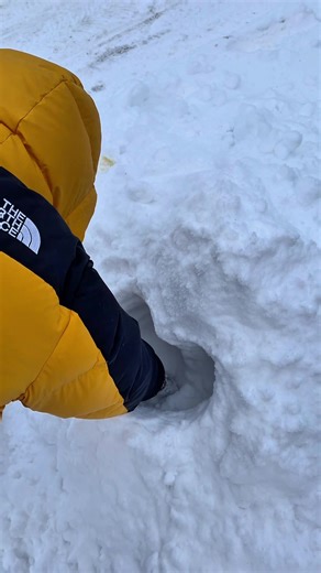 My happy Place 🫶🏼 #fy #couple #familie #fyp