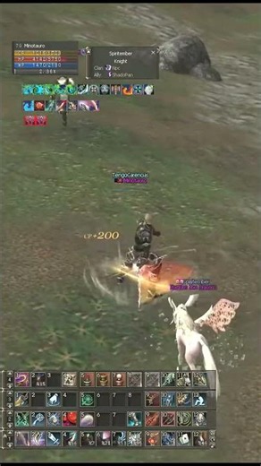 Adventurer 79 vs Elemental Master 79 PVP L2 Lineage 2 #lineage2 #l2community #l2 #gaming