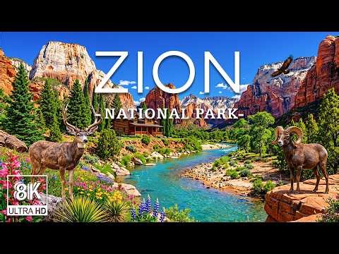 Zion National Park 8K | Red Cliffs, Bighorn Sheep & Canyon Wonders in Utah’s Desert Wilderness