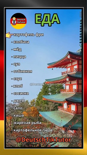 Еда. #deutschtiktutor #tiktutordeutsch #tiktutor #deutsch #немецкий #немецкийонлайн #Немецкийязык #разговорныйНемецкий #германия #немецкийдляначинающих #учимнемецкий #deutschlernenonline #deutschesprache #deutschland #german #learngerman #germany #learngermanonline #еда #продукты | Deutsch TikTutor