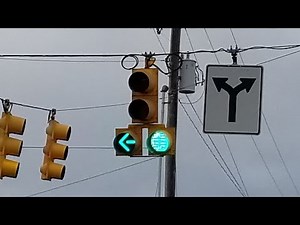 Durasig 4-section Doghouse Traffic Light