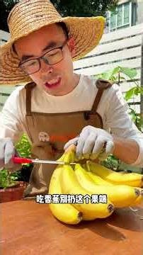 零基础水果种植，看完立马学会！ #养花小知识 #种植小技巧 #瓜果蔬菜种植小技巧 #菠萝种植