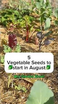 How to Grow Kale from Seed 🥬 | Best Vegetable to Start for a Fall Garden