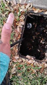 Sprinkler system backflow preventer brass ball valve replaced and walk through 💦🍀 #101 #howto #diy