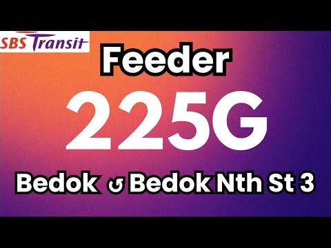 SBS Transit Feeder Bus Service 225G | Hyperlapse & Route Visual