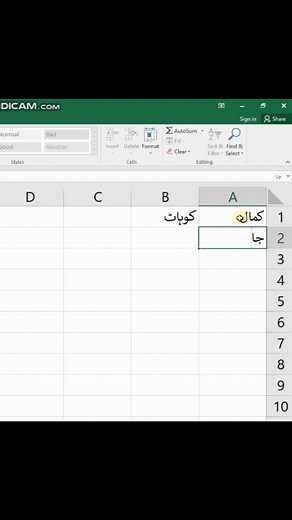 Urdu Data Entry in Excel: Step-by-Step Tutorial