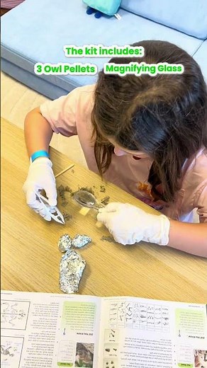 Explore the world of animal science! 🦉 Perfect for little scientists!