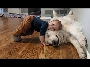When we become best friends - Cute Moments Dog and Human