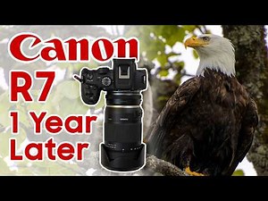 Canon R7 One Year Review – Still the Best Camera for Beginners?