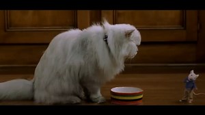 1.5M views · 42K reactions | Stuart : Se que tu y yo comenzamos con la pata equivocada y quería ver si podemos comenzar de nuevo ,ya sabes desde cero ¿Qué dices, somos amigos? Pelusa: Heee...No. Película: Stuart Little (1999) EE. UU. | Frases de Cine | Facebook