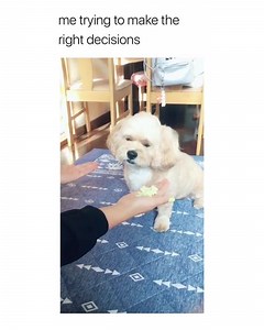 Me 😂 | Femaleclub