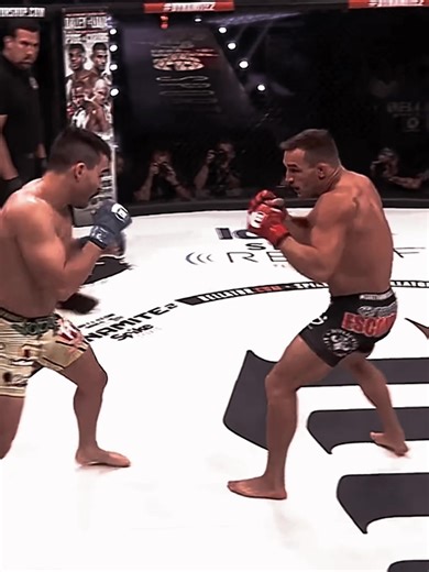😈 #bellator #michaelchandler #ufc #knockout #mmaedit