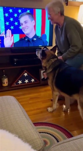 For the First Time in 10 Years, She Played His Video — His K9 Started Crying 💔🐾