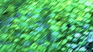 Видео Fallen 1998 | OK.RU