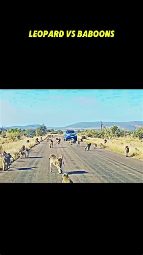 Exploring the Essence of Cinema: A Film Lover's Perspective