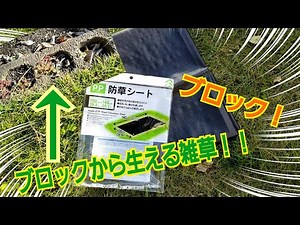 庭のブロックの隙間から出る雑草をなくしたい！！防草シートを被せて草むしりゼロに♪