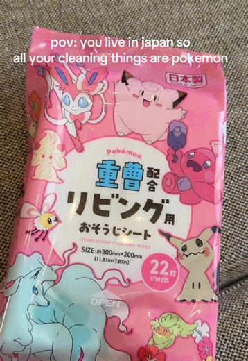 Cleaning in Japan: A Pokémon Perspective