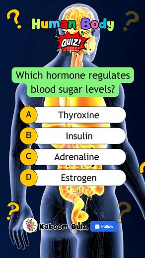 2.9K views · 52 reactions | "How well do you know the human body? Test your knowledge with our fun quiz! 易領 #humanbody #sciencequiz #anatomy #humabodyquiz #quiztime #funquiz #quizreels #quizchallenge #quizzes #popquiz #generalknowledgequiz #quizshoe #learnwithme #learningvideo #braingame #educational #education #sciencefacts | Kaboom Quiz | Facebook