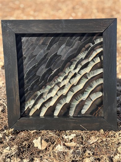 Wild Merriams Turkey Feather Framed Art - Etsy