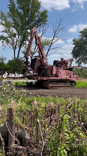 Ultimate Guide to Heavy Equipment for Tree Removal