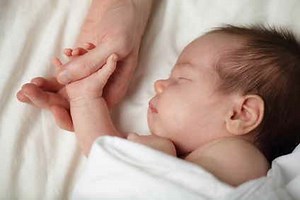 Que Es La Vida Humana