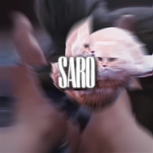 Spinning Flying Cat: The Cutest Cat Meme