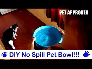 No Spill Water Bowl For Pets! DIY