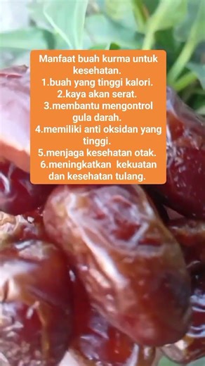 manfaat buah kurma untuk kesehatan kita🤗#manfaatkurma