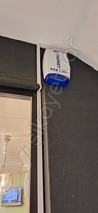 Pronet Son Pişmanlık Bu