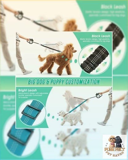 Shock Absorbing Retractable Leash for Two Dogs - Maintain Control