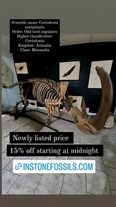 11K views · 82 reactions | https://instonefossils.com/products/coelodonta-antiquitatis-woolly-rhinoceros-russia?_pos=2&_sid=480020288&_ss=r | In Stone Fossils | Facebook