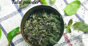How to Make Tulsi Powder at Home: The Right Way to Get Dried Basil Leaves, Retain Green Color