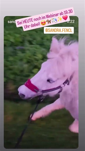 😍🏇🦄✨️ Sei heute noch schnell dabei: https://www.edudip.market/w/446267