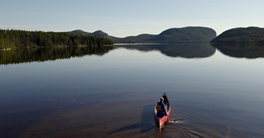 Activities and experiences