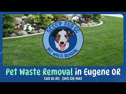 Pet Waste Removal in Eugene OR | Pooper Scooper Service | Dog Poop Clean Up Services