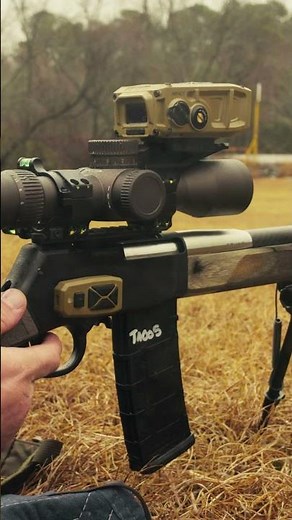 The Next Generation of Precision Rifle is Lever Action?