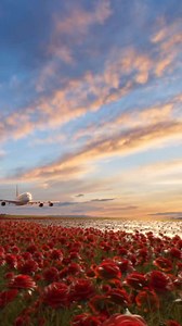 29K views · 173 reactions | #gratidão | Ralf Geiser | Facebook