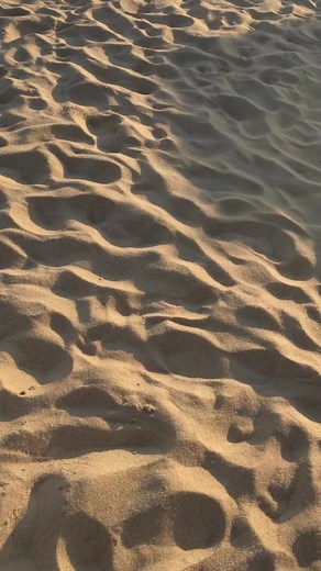 Aesthetic Beach Summer Wallpaper Compilation