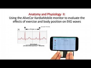 EKG Lab: Using the AliveCor KardiaMobile monitor to evaluate the effects of exercise and body