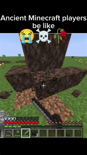 how the wither is found in Minecraft 🤔 #usa