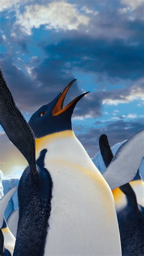 Netflix Film on Instagram: "Did two animated penguins single handedly just restore my belief in love?? : HAPPY FEET TWO"