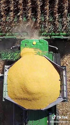 Cab corn. It happens. If you never have cab corn, then you’re just not givin’er. #kibbleequipment #johndeere #blamethegraincartdriver