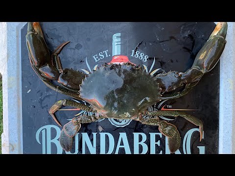 HOW TO CATCH MUDCRABS - A BEGINNERS GUIDE