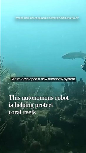 This autonomous robot is helping protect coral reefs