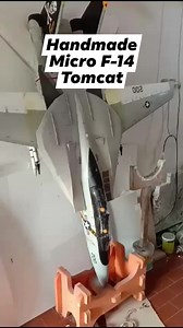 Handmade F-14 Tomcat Micro RC Plane | Julius Perdana
